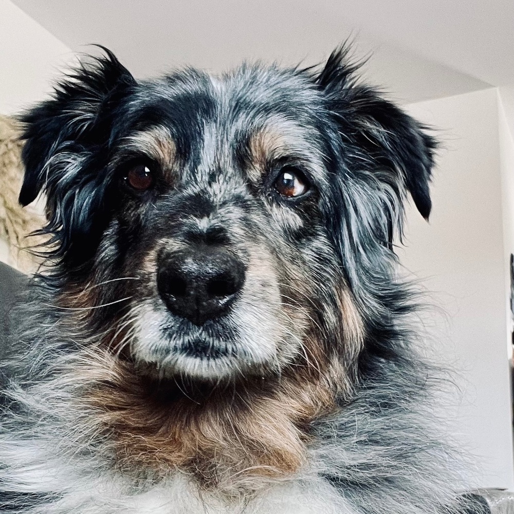 Meet your Posher, Nikki